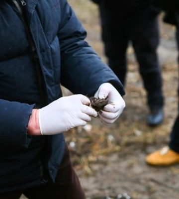 У Львові знайшли кістки у дворі будинку