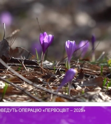 На Закарпатті проведуть операцію «Первоцвіт – 2025» (відео)