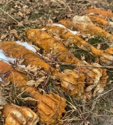 Музей на Волині поповнився німецькою гільзою від ракети часів Другої світової війни