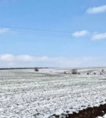 Аграрії Кіровоградщини продовжують роботу у полі