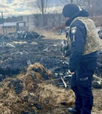 Внаслідок нічної атаки дронів на Київщині загинули понад 40 свійських тварин