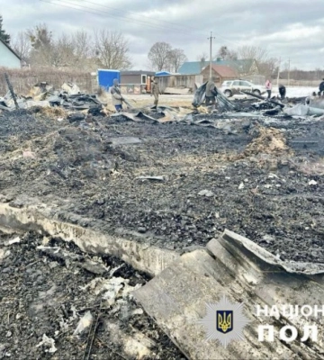 40 тварин загинули внаслідок російської повітряної атаки на Київщині