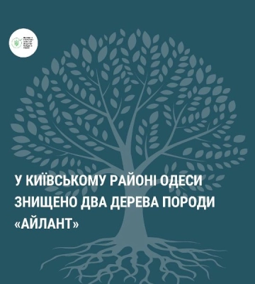 На Коломийщині через незаконну рубку дерев завдано збитків на понад 70 тисяч гривень
