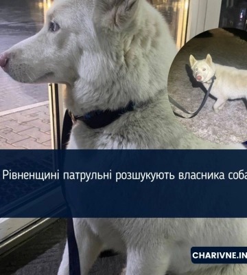 На Рівненщині патрульні розшукують власника собаки
