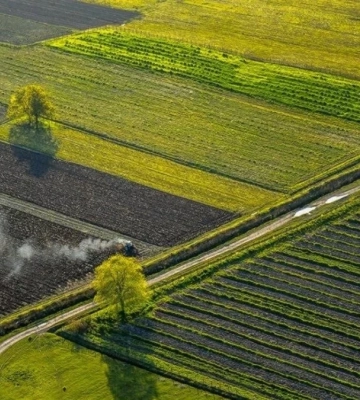 Аграріїв Львівщини запрошують наступного тижня на земельний аукціон