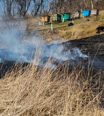 На Самбірщині жінка самотужки гасила пожежу сухої трави й сильно попеклася