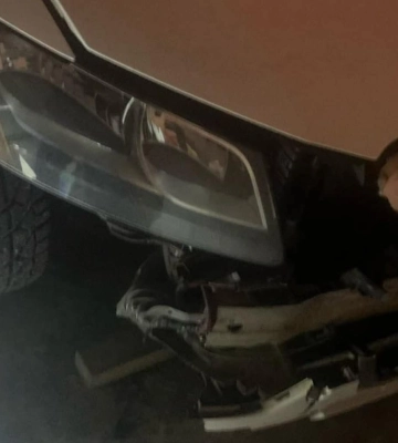 Хижих тварин відстрілюватимуть у громаді на Рівненщині