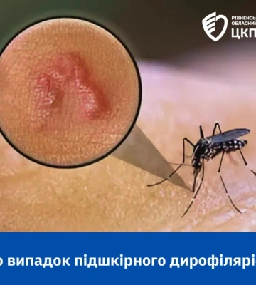 Перший випадок підшкірного паразита цього року виявлено на Рівненщині