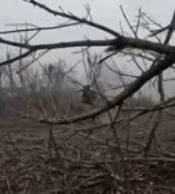 ЗСУ ведуть успішний наступ на Запоріжжі, вибиваючи ворога