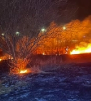 На Львівщині вогнеборці ліквідували сотню пожеж сухої трави за добу