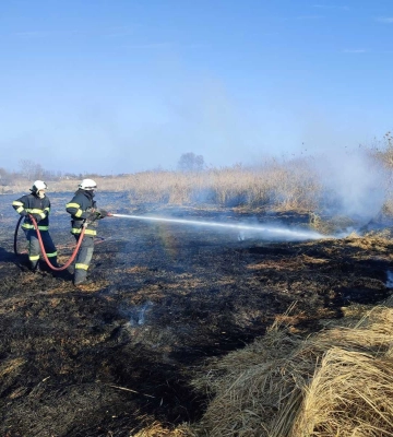 На Львівщині та Закарпатті через спалювання сухостою загинули дві людини