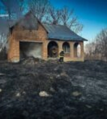 Масштабні пожежі сухостою на Львівщині: рятувальники ліквідували 76 займань за добу