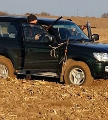 За вбивство двох самок диких кабанів на Львівщині браконьєри заплатили 80 тисяч грн