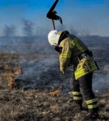 На Миколаївщині за добу ліквідували вісім пожеж: горіли будинки, квартири та сухостій