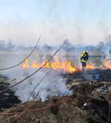За добу прикарпатські рятувальники загасили 57 пожеж сухої трави. ФОТО