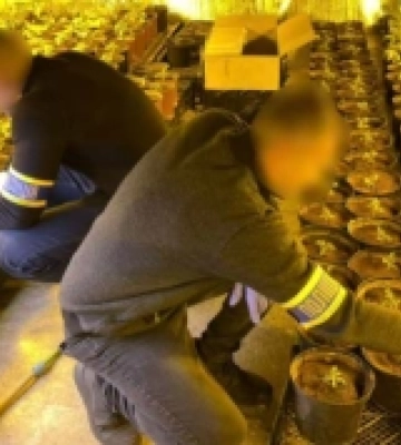 У Луцьку затримали наркоділків: слідство вивело на цілу лабораторію на Полтавщині
