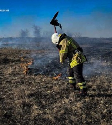 На Миколаївщині за добу ліквідували вісім пожеж: горіли будинки, квартири та сухостій