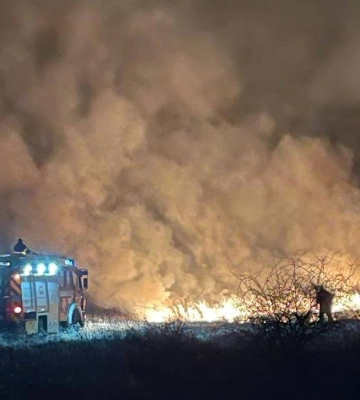 На Закарпатті збільшилася кількість пожеж на відкритій території