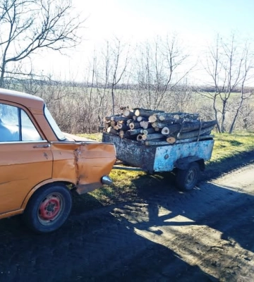 В лісових насадженнях на Одещині незаконно вирубали дерева