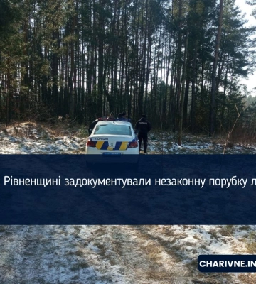 У Дубенському районі поліцейські задокументували незаконну порубку лісу