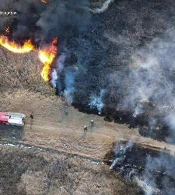 Вогнеборці ліквідували масштабну пожежу очерету у Вознесенському районі (ВІДЕО)