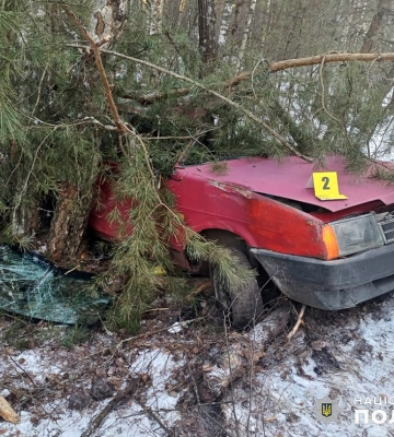 На Житомирщині через дії п’яного водія загинув у ДТП його пасажир. ФОТО