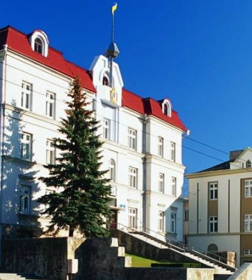 Скільки грошей у 2024 році надійшло в бюджет Луцька і на що їх спрямували