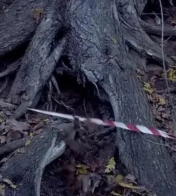 Розшукали його рештки та речі: на Волині знайшли тіло безвісти зниклого чоловіка