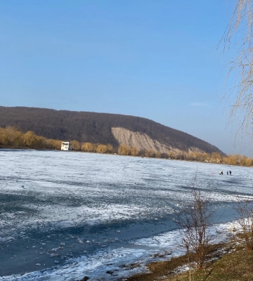 Водій, флорист та офіціант: актуальні вакансії у Надвірній на 26 лютого