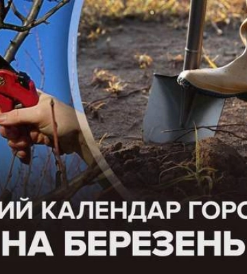 Буде найкращий урожай: в які дні займатися городом у березні за місячним календарем