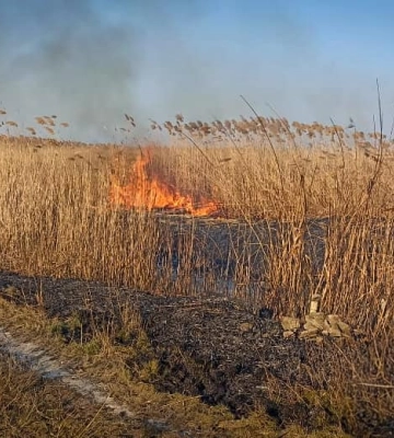 Екосистеми у вогні: за добу на Одещині сталося 24 займання на відкритій території 