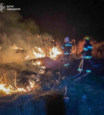 Екосистеми у вогні: за добу на Одещині сталося 24 займання на відкритій території 