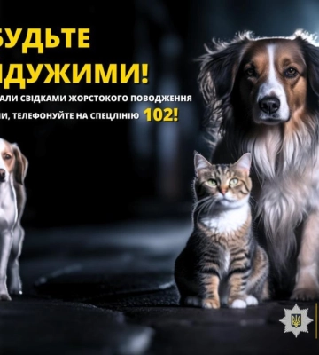 Поліція Арциза розслідує можливе отруєння безпритульних собак