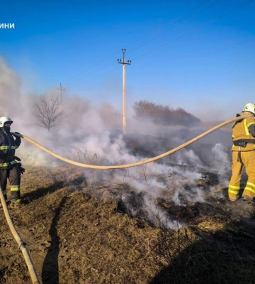 Екосистеми у вогні: за добу на Одещині сталося 24 займання на відкритій території 