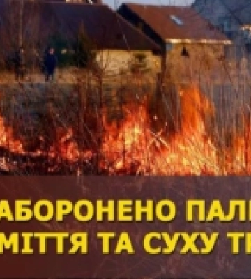 На Камінь-Каширщині загорівся торф&#039;яник 