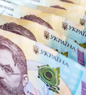 На Закарпатті стрімко зросла кількість мільйонерів, а рекордсмен задекларував 54 млн грн