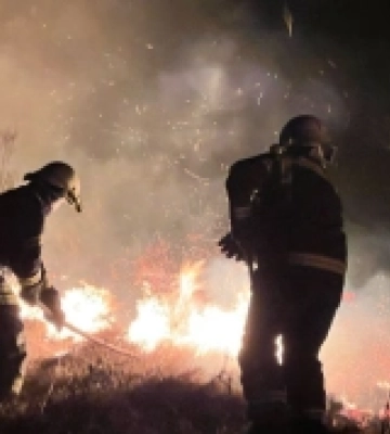 За день на Волині ліквідували шість загорянь сухої трави