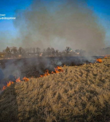 На Львівщині за добу сталося 150 пожеж в екосистемах: гинуть тварини та горять будівлі