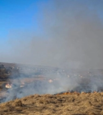 На Львівщині за минулу добу сталося 150 пожеж в екосистемах