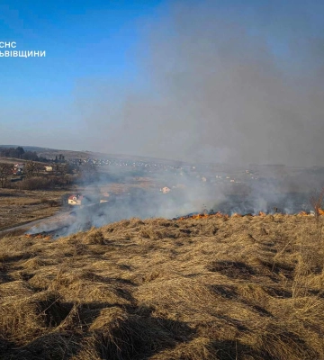 На Львівщині за добу сталося 150 пожеж в екосистемах: гинуть тварини та горять будівлі