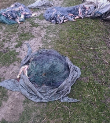 На Одещині браконьєр наловив риби на пів мільйона гривень - ФОТО