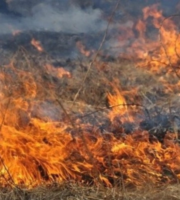 Трагедія на Львівщині: 72-річну жінку під час пожежі сухої трави
