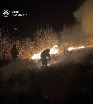 В Перемишлянах ліквідували масштабну пожежу