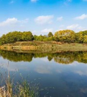 Де можна купатися на Полтавщині: перевірка стану води
