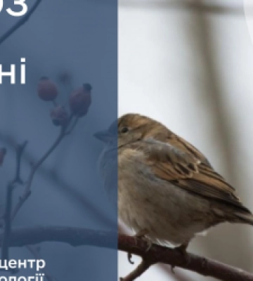 Синоптики розповіли, якою буде погода в останній понеділок лютого