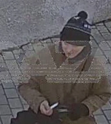 В окупованому Криму турист «відправив у політ» із «Ластівчиного гнізда» місцеву кішку