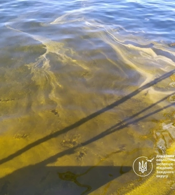Внаслідок ворожого обстрілу в лиман на Одещині потрапило більше ста тонн соняшникової олії