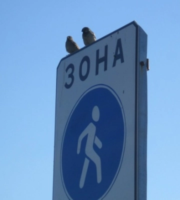 Бо небезпечно: у Рівному просять створити пішохідну зону через залізничний міст