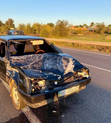 В Днепропетровской области автомобиль сбил насмерть женщину и беременную корову