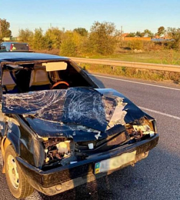 У Дніпропетровській області збили жінку з вагітною коровою